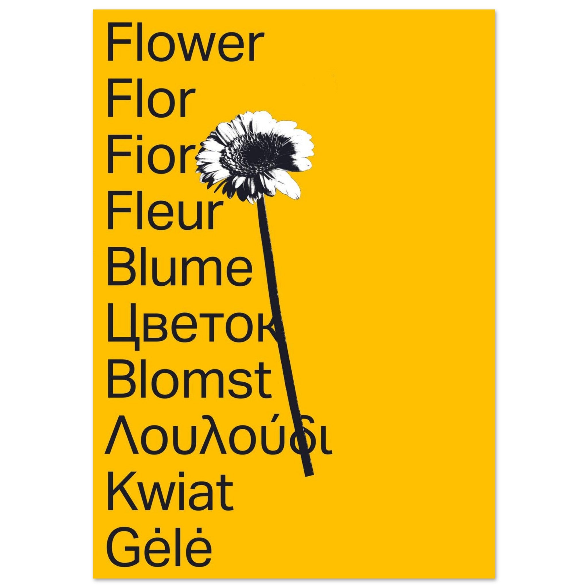 09c1fe22-13d0-4076-838d-20eea6a149b1