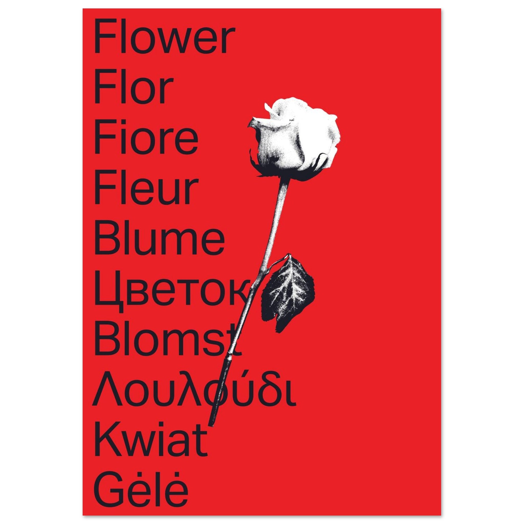 1bd092f2-0c34-4dea-b935-fd0b28b9f2fa