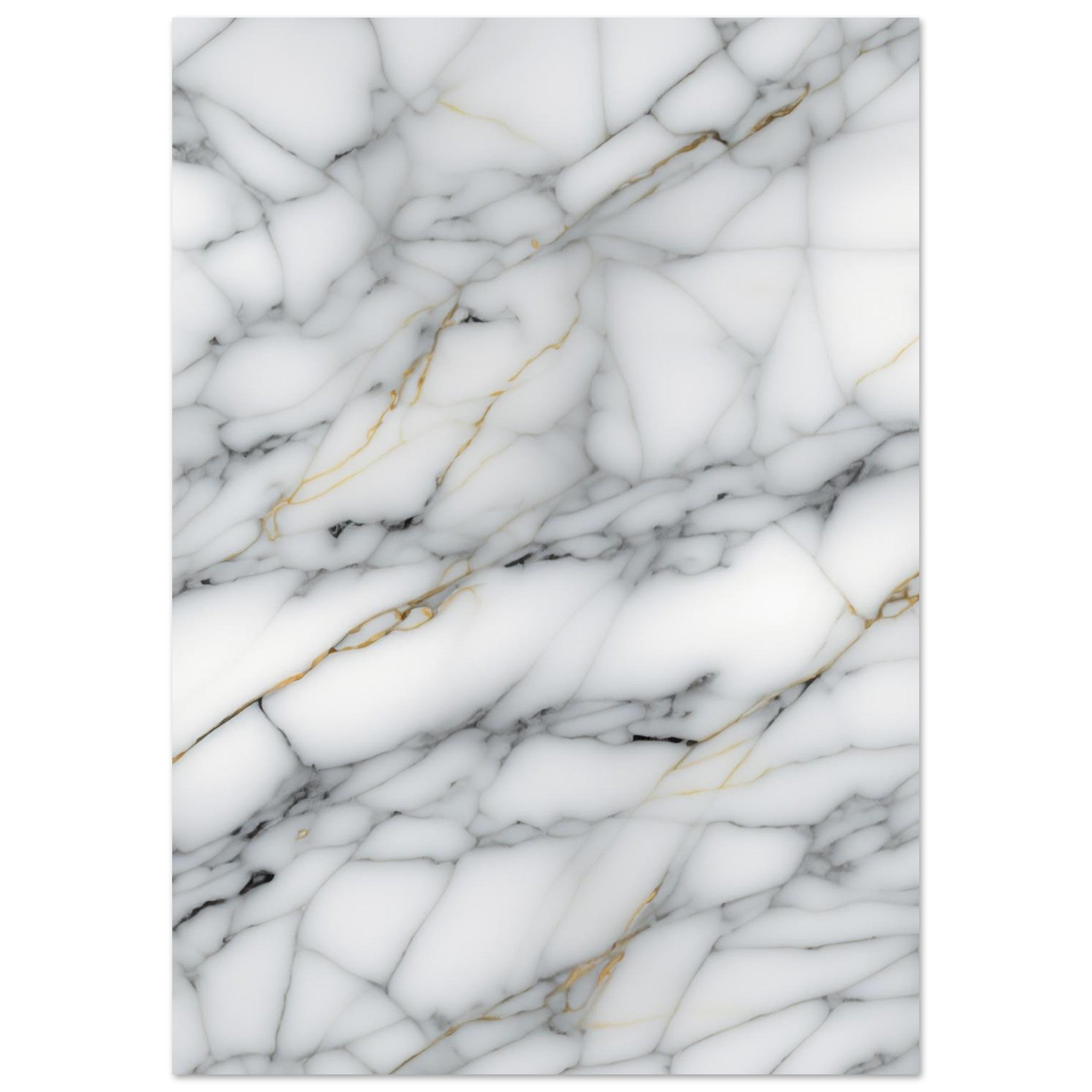 2a046b02-20dc-408f-b703-f35d95625714