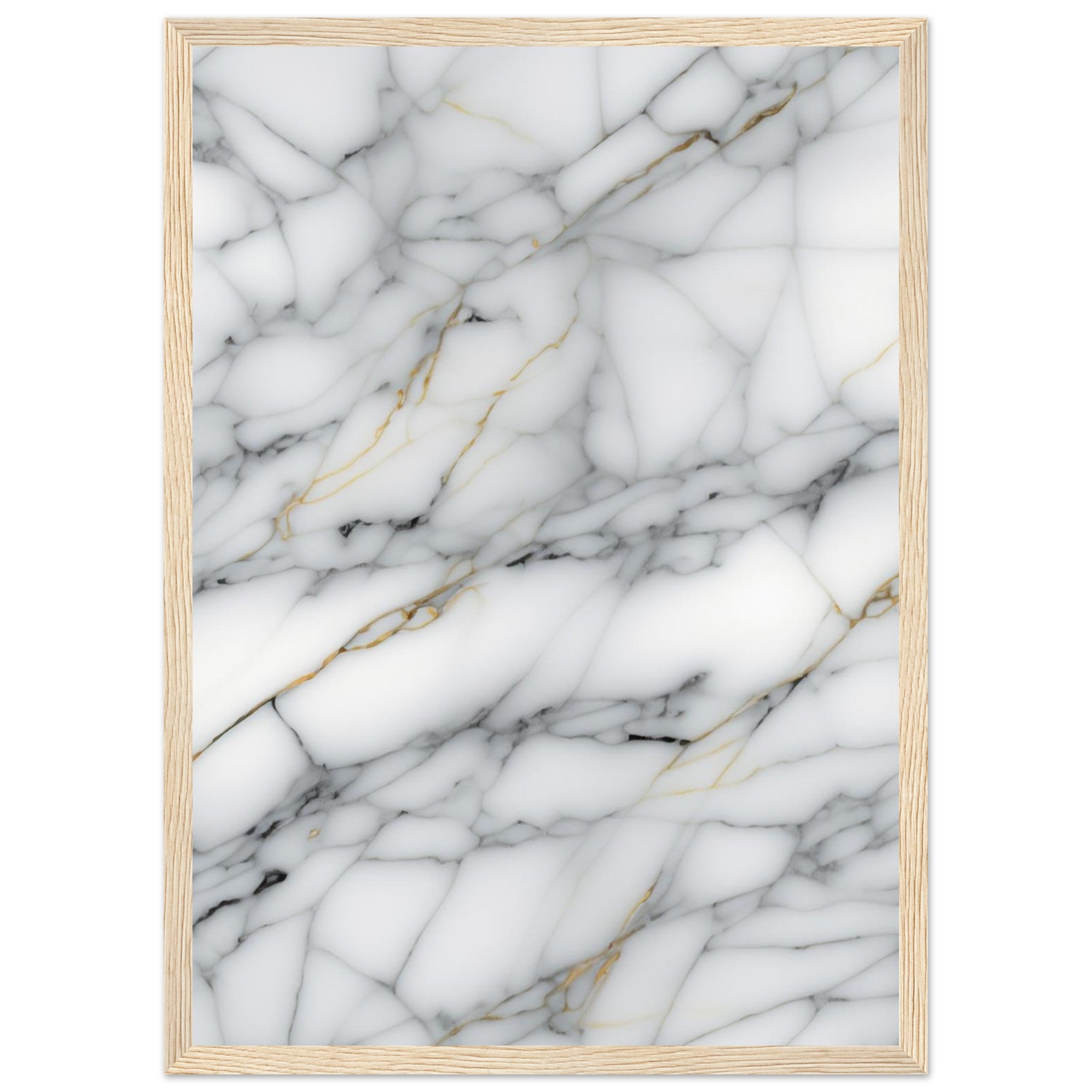 35186ce8-b8d3-4a8c-85f1-c5ce2dbe5fa1