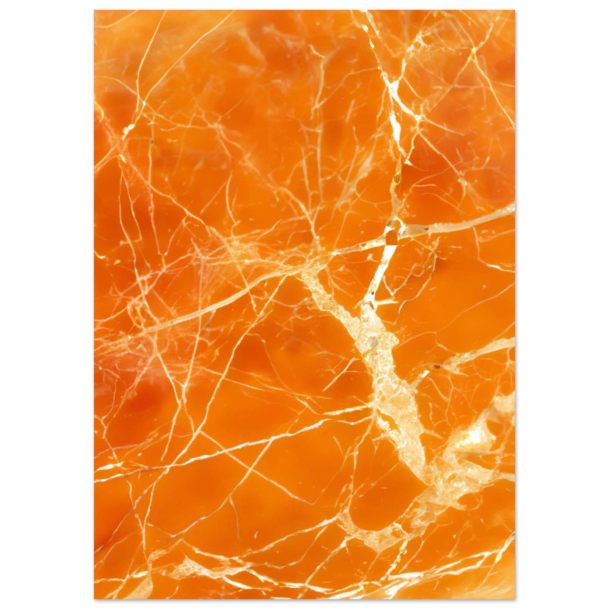 35569d1d-8c06-4a6c-92fe-8ffc01f0e5f5