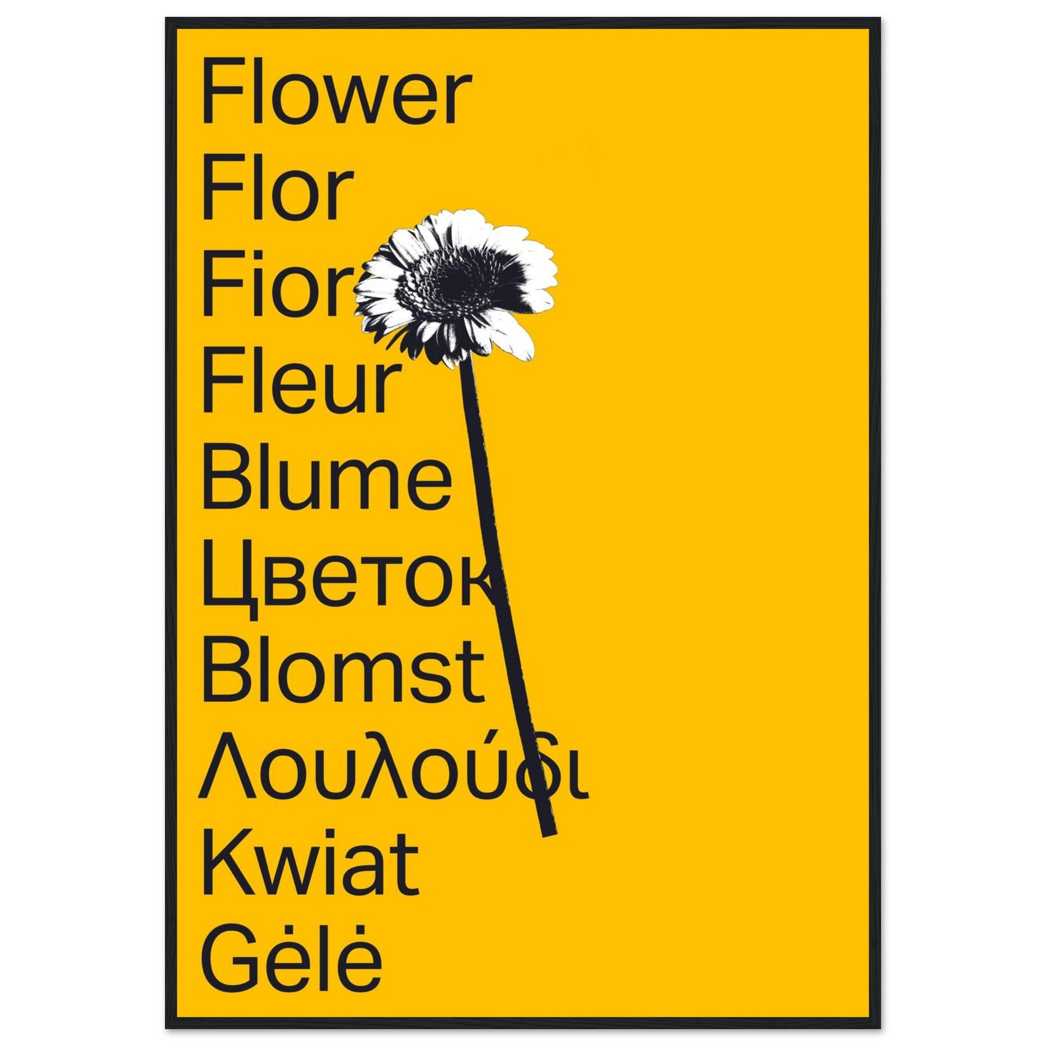 562ed5e4-7044-4fd6-9e0f-97da3aea5470