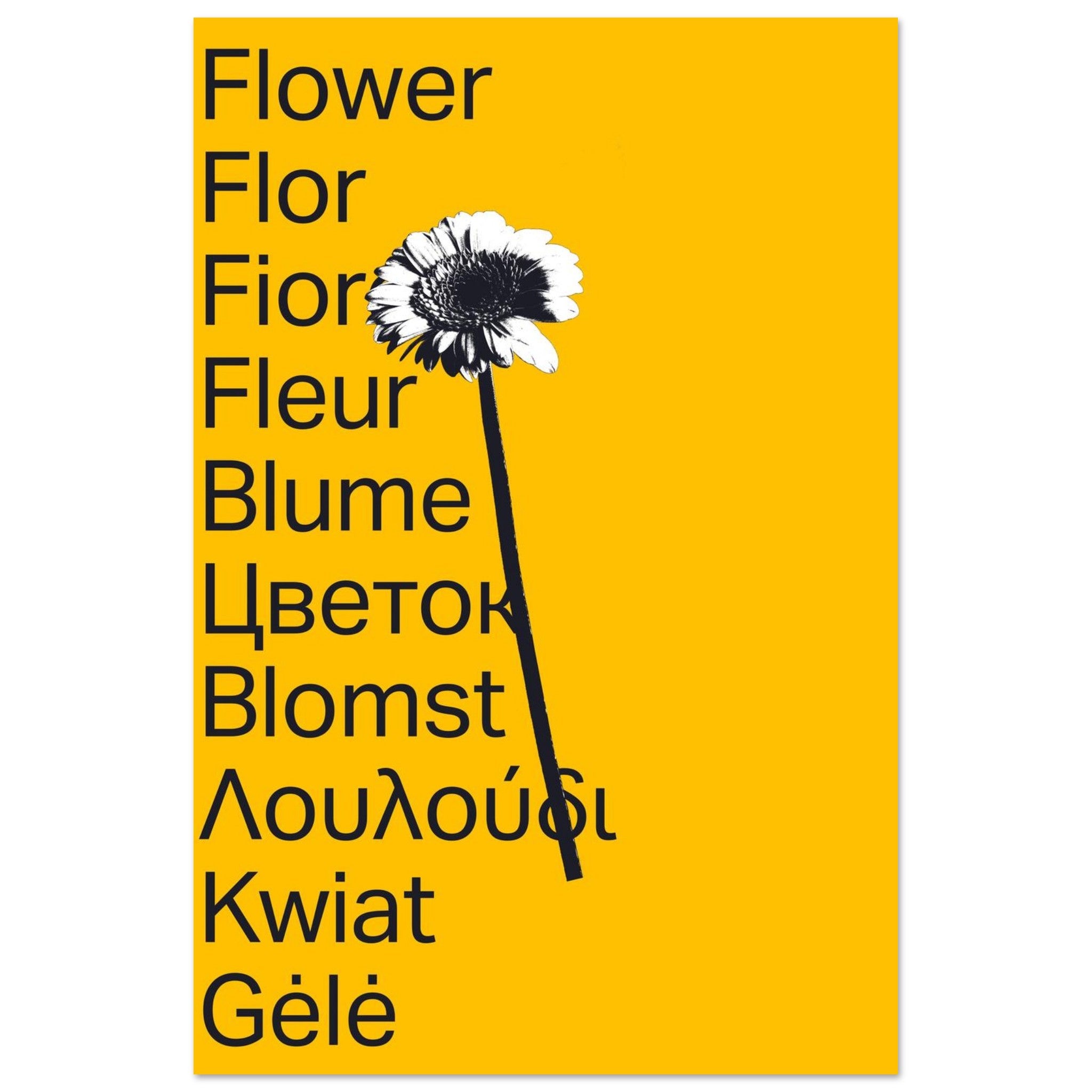 664c8800-8323-4e79-9d13-41620f4ed320