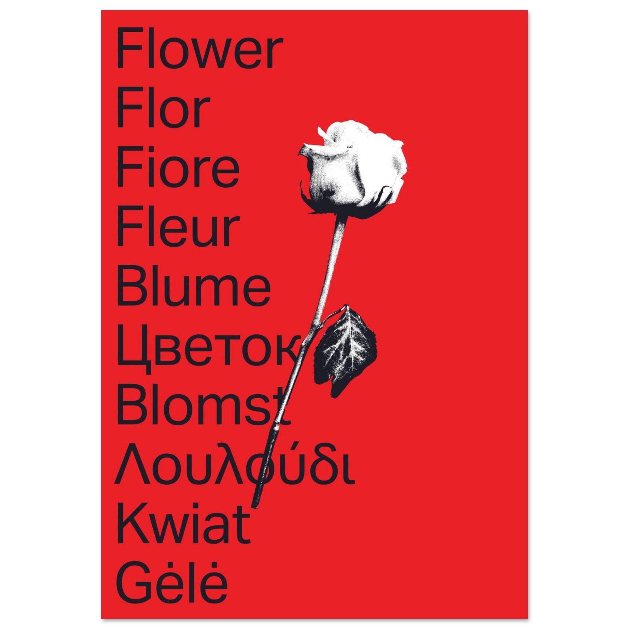 869bdfd9-84a1-40ae-8246-aa808e281ee5