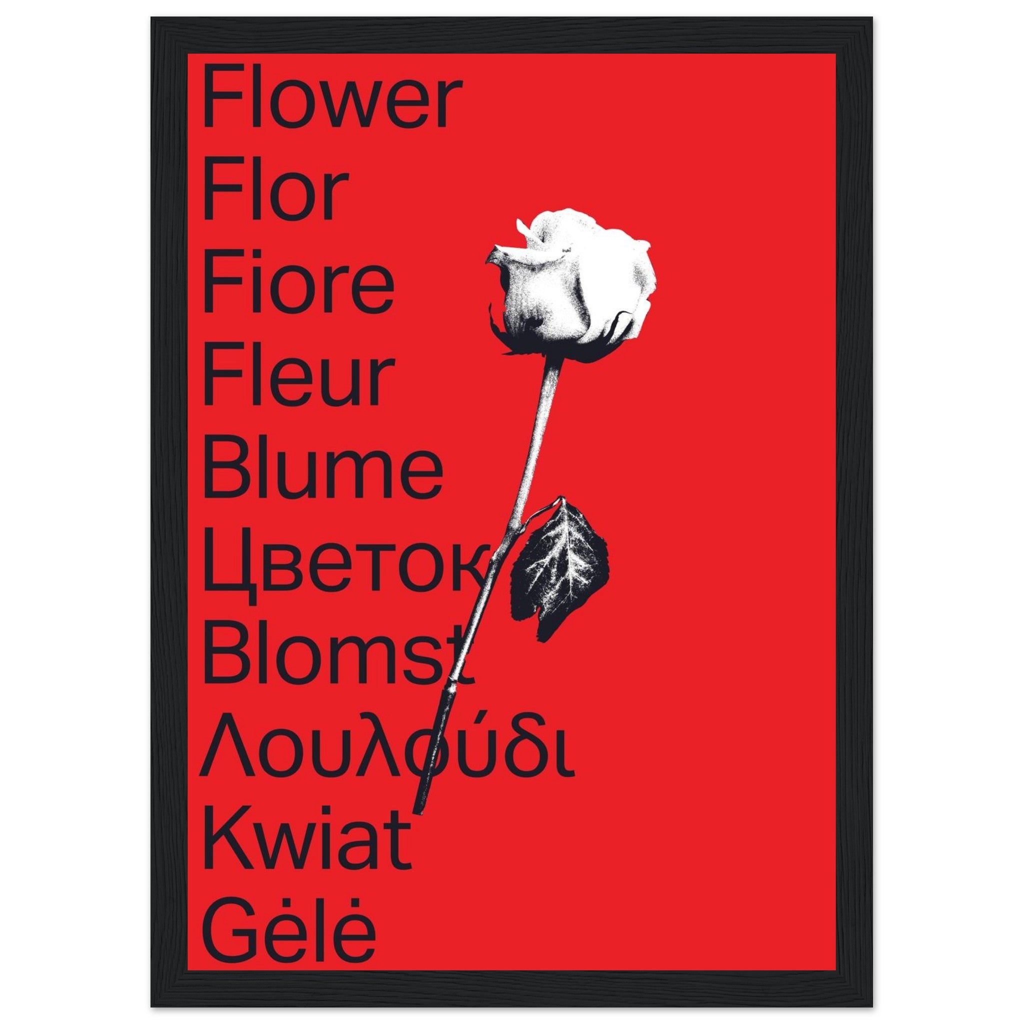 8b3cd420-61b4-4aa9-9229-3428f1beef87