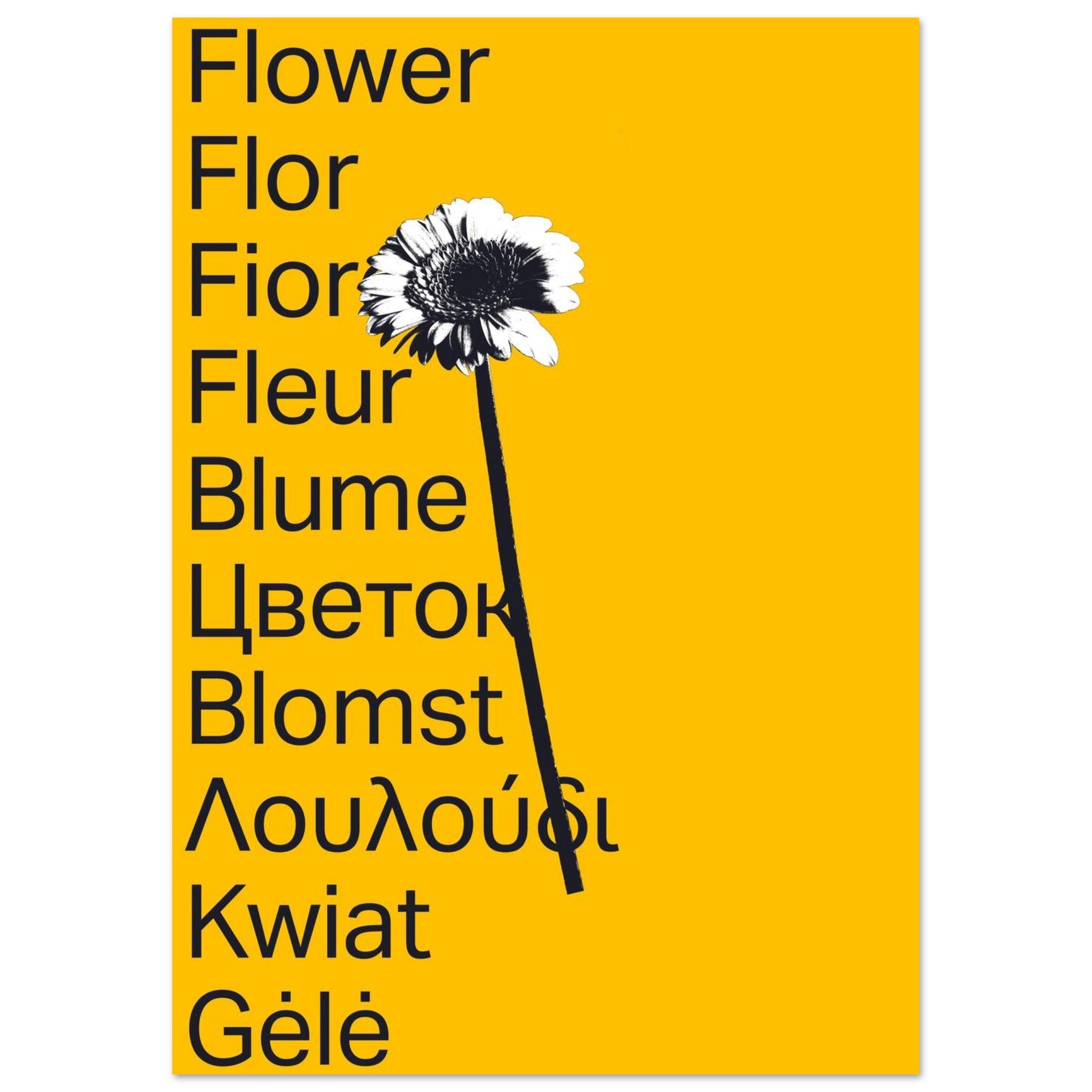 bbc10217-9ed8-4473-873f-d87310f20b34