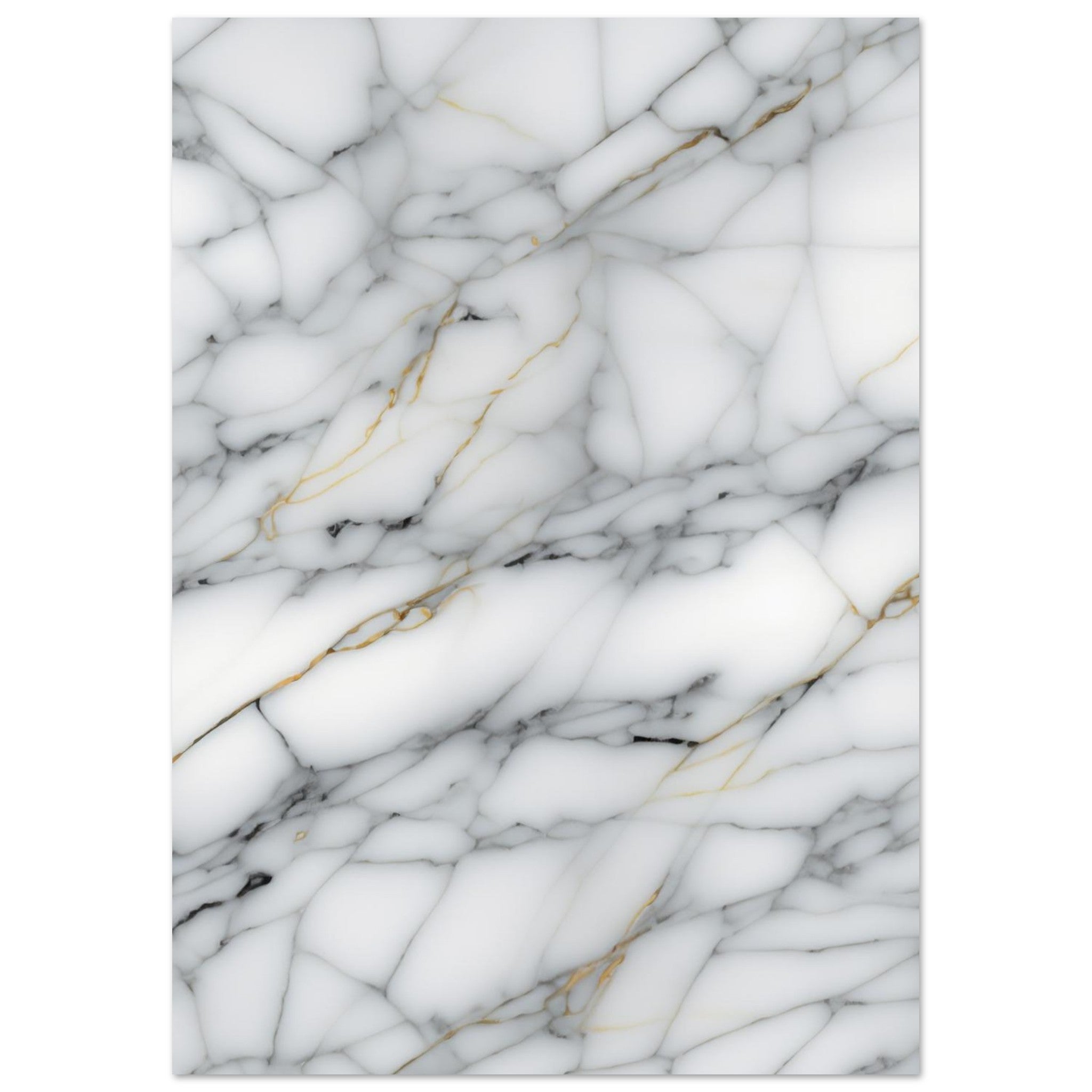 cae03881-9550-4133-b14b-0d6388227e51