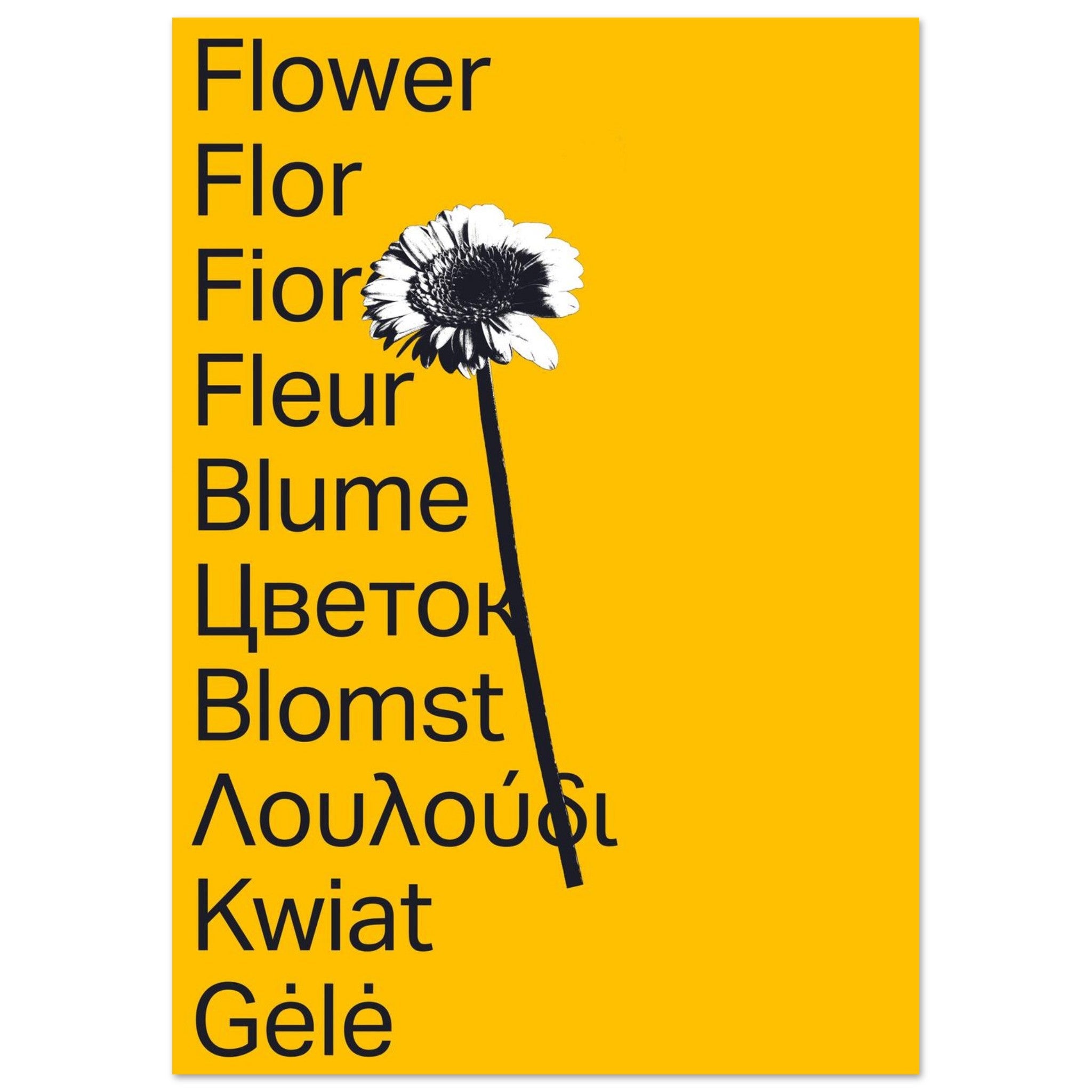 d4b42acc-426c-4437-85f6-1c5c82954c24