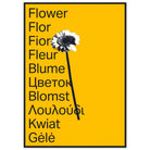 562ed5e4-7044-4fd6-9e0f-97da3aea5470